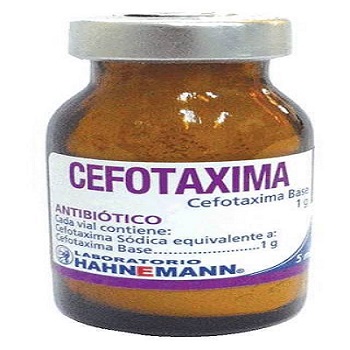 Cefotaxima 1g Polvo Inyectable x1u  (Hahnemann)