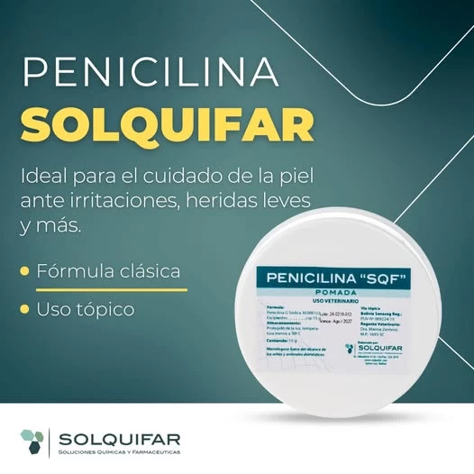 PENICILINA Pomada 14 GRS x1unidad (SOLQUIFAR)